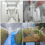 承接動物實驗委托